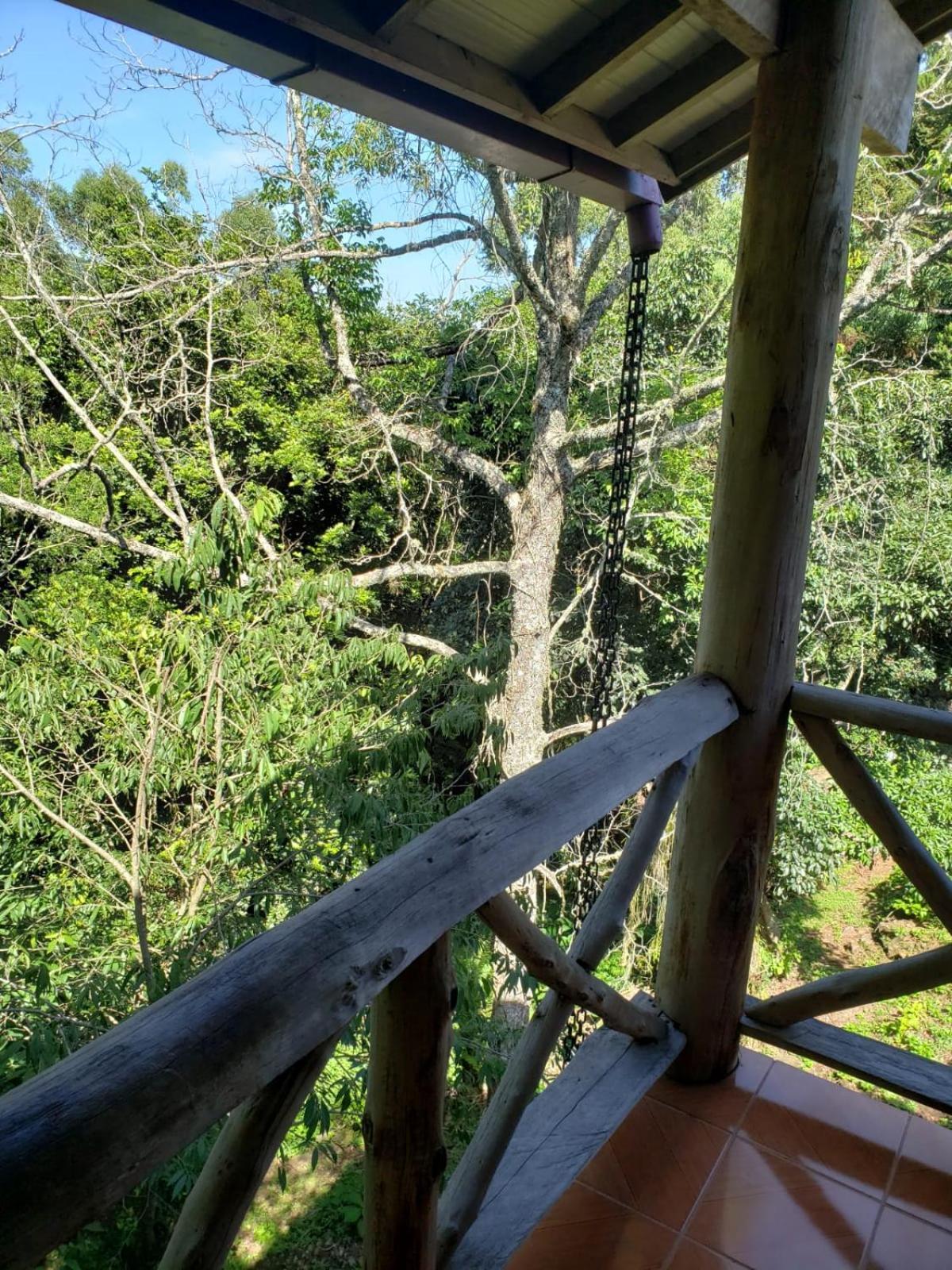 Pousada Da Chacara Nova Petropolis Eksteriør billede